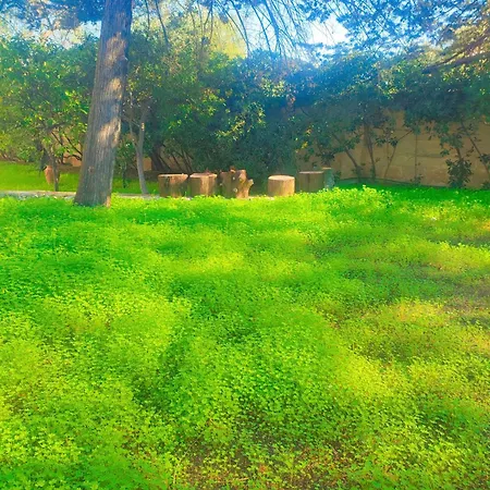 Italomar アパート *